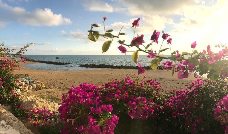 Sikelika Residence Sul Mare Scoglitti Bagian luar foto
